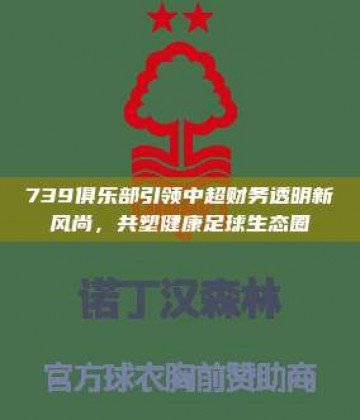 739俱乐部引领中超财务透明新风尚，共塑健康足球生态圈