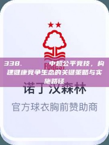 338. 🕊️ 中超公平竞技，构建健康竞争生态的关键策略与实施路径