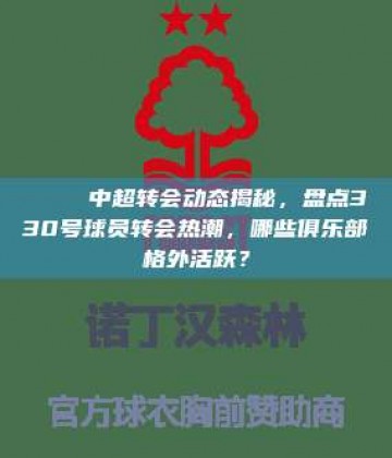 🔄 中超转会动态揭秘，盘点330号球员转会热潮，哪些俱乐部格外活跃？