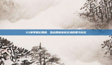 113赛季精彩回顾，盘点那些惊艳全场的黑马队伍