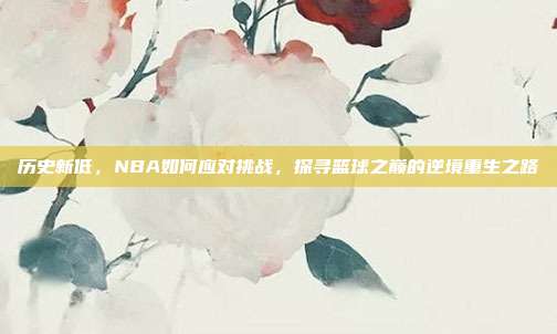 历史新低，NBA如何应对挑战，探寻篮球之巅的逆境重生之路