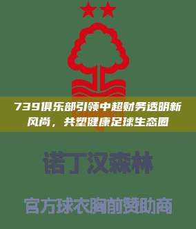 739俱乐部引领中超财务透明新风尚，共塑健康足球生态圈